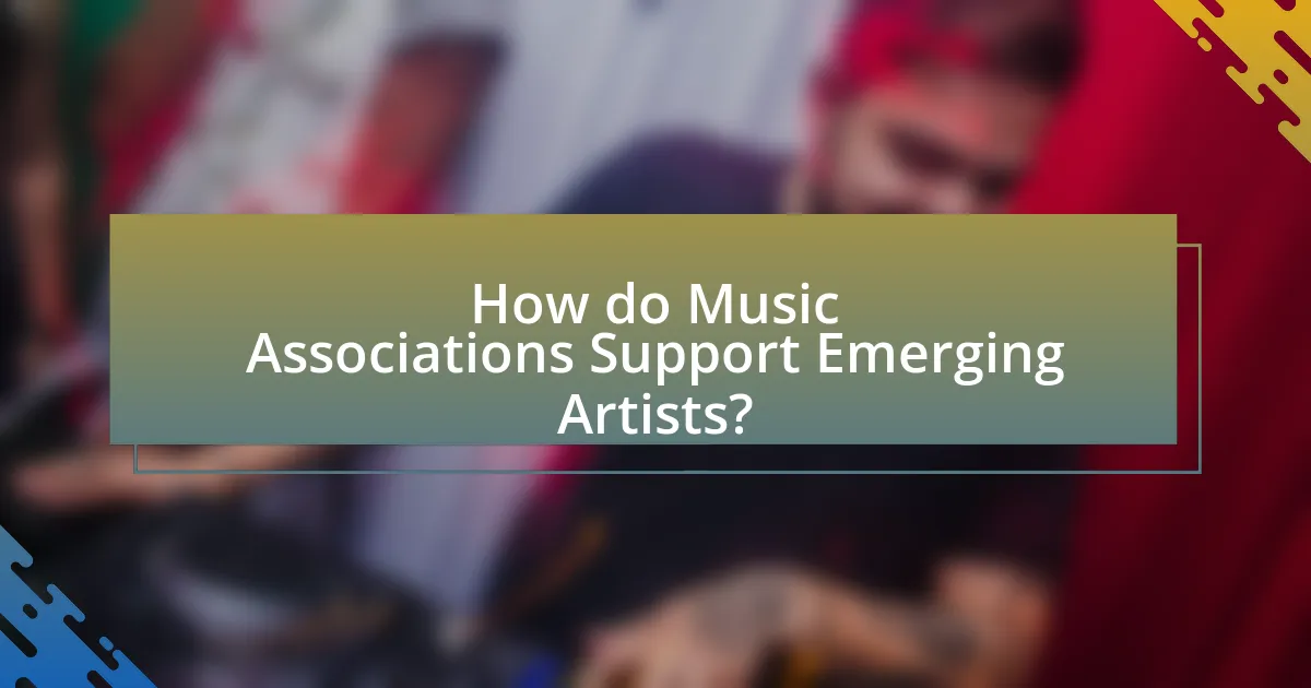 How do Music Associations Support Emerging Artists?